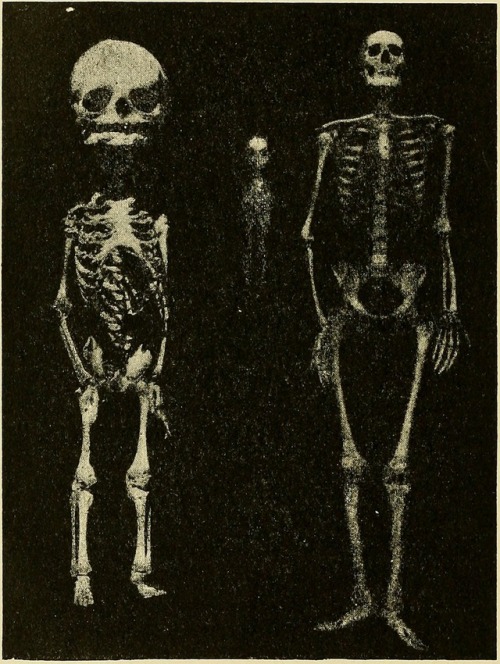 Adolescence: its psychology and its relations to physiology, anthropology, sociology, sex, crime, re