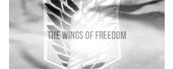 自由の翼