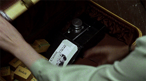sethsgecko: My angel. Flung out of space.  Carol (2015) dir. Todd Haynes 