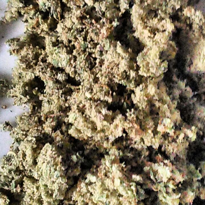 mrcanabisengineer:  weedworxs:  About to get this #mmj #cannabis #marijuana #weed