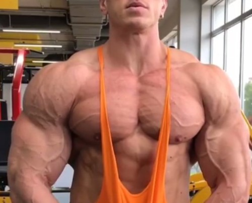 perfectmusclemen2: muschard96: Nikita K gym flexing Nikita Komarov Please repost and follow: https:/
