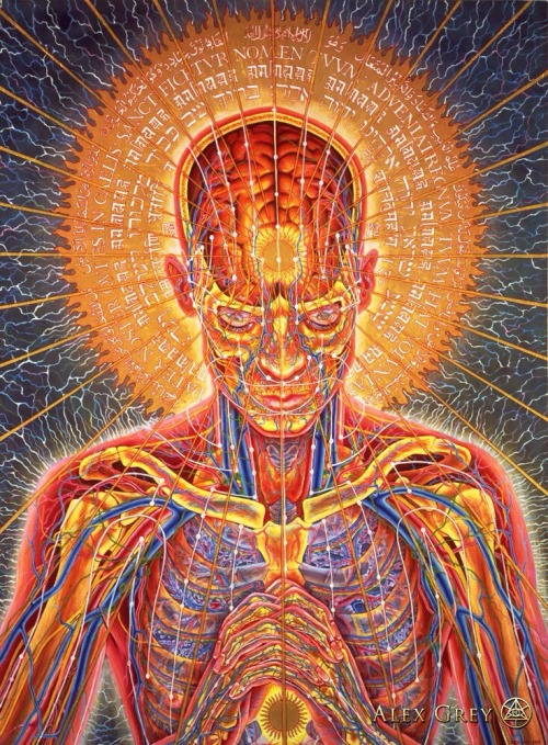 mithril85:  Alex Grey Art  adult photos