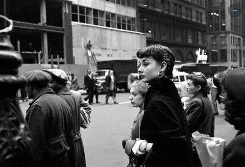 prettyfuul: Audrey Hepburn by Lawrence Fried, New York, 1952