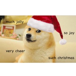 lydiamartxin:  have a very doge christmas