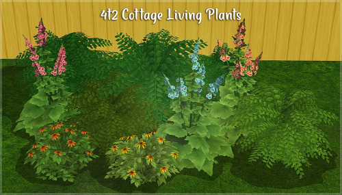 4 Plants From TS4 Cottage Living Debug Mode Converted To Ts2. Big Fern Is Repod To The Small One. I Made
