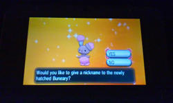 GOT IT !!!shiny buneary in a love ball is done &lt;3