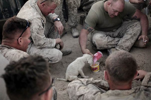 i-want-spankings:  ilovephilscock:  awesome-picz:  Soldiers And Pets Who Became Best