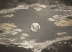 cruelteafree:Infinity Moon by Hans Henke