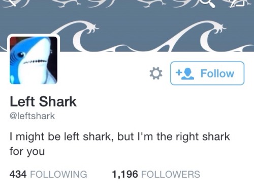 deanandsamgurl:I’d like to thank God and Jesus for introducing left shark into my life