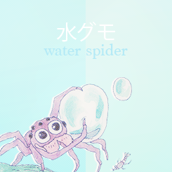 preludetowind:   Ghibli Museum Short; 水グモもんもん  Before the production