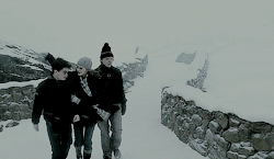 mathewdaddario:harry potter meme; 3/9 relationships: harry, ron and hermioneA warmth was spreading t