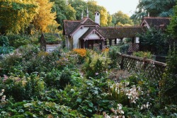 lilcrystalkitty:I felt so at peace as I looked over this little garden in London and watched as the sun began to set 🍂🌻