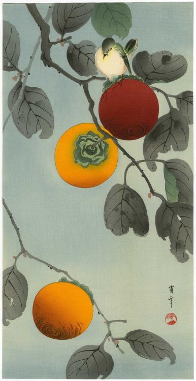 huariqueje:Bird on a Persimmon Tree  -  Watanabe Seitei,  Meiji 1868-1912  Japanese, 1852-1918Colour