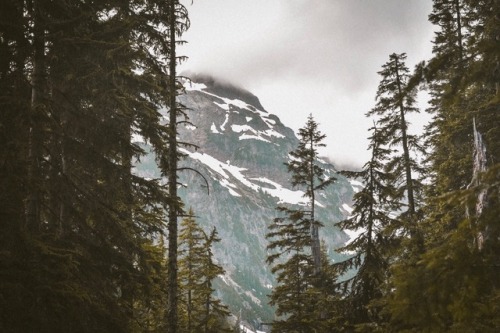 adventureovereverything:Giant peaks