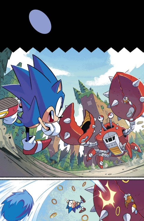 Porn Pics sonicthehedgehog:  Beautiful Sonic comic