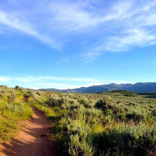 My backyard is a playground. #parkcity #utah