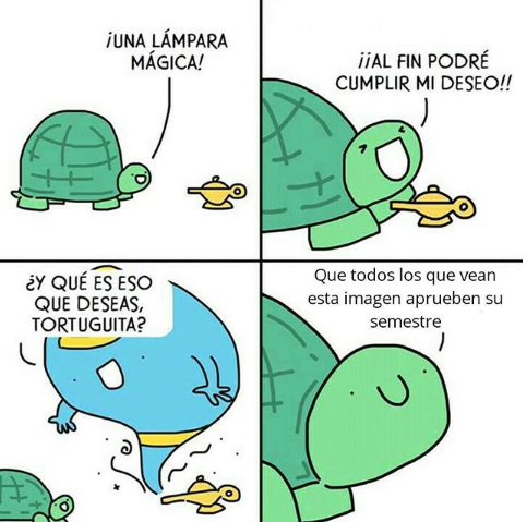 somospandaspordentroyporfuera:  Reblog para que la tortuga les de suerte-Una chica invisible. 