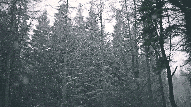 love is a downpour of shelter