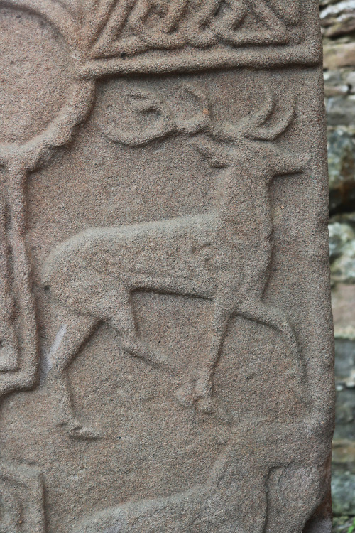 Eassie Pictish Symbol Stone, Angus, Scotland, 20.5.18.Perhaps one of the finest Pictish carved stone