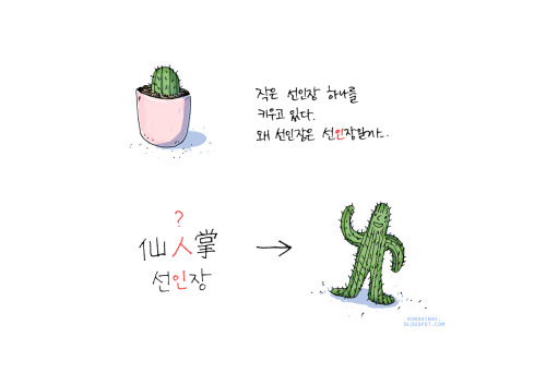 English translation from Korean:I have a little cactus („seon-in-jang“)I wonder why cactus is called