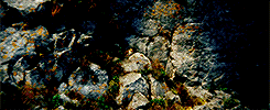 goldblums:  An Unexpected Journey &amp; The Desolation of Smaug + visually beautiful