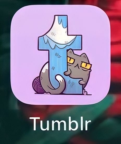 Tumblr media