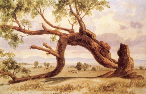 artist-velasco: Árbol caído, Jose Maria Velasco