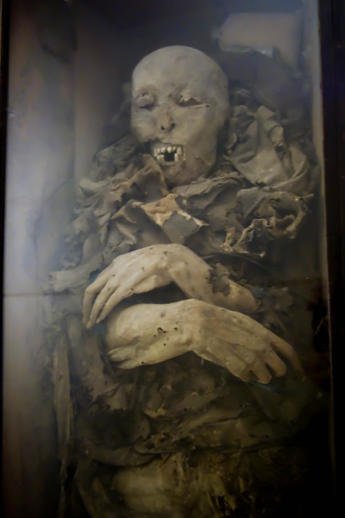 allthesaintsyoushouldknow:  The Carmelite Monastery of San Ángel Mexico City, Mexico  I’m currently working on a full piece for Atlas Obscura on theses guys but I couldn’t wait to share the photos. These are naturally occurring mummies on display