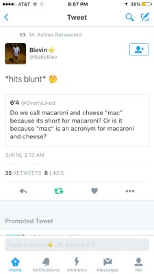 roamingblizzard:  thecoldestwynterever:  iamchinyere:    Damn     Macaroni and Cheese and Cheese