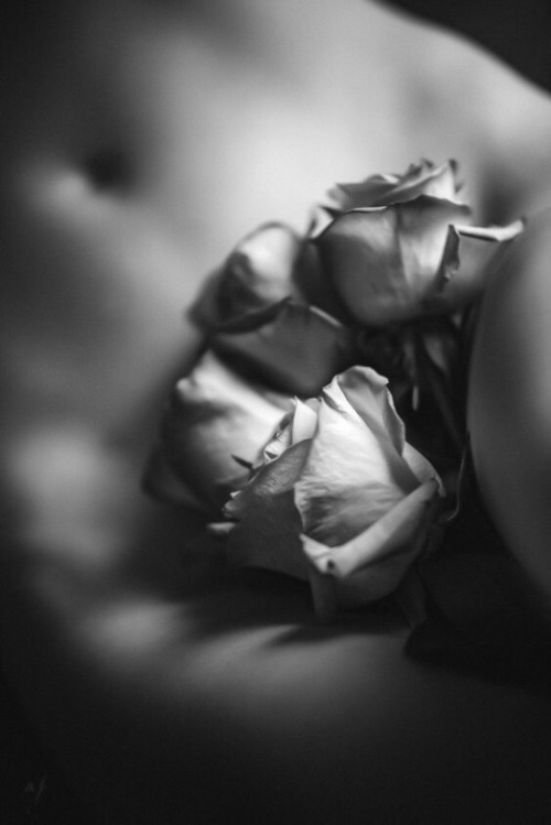 La Donna senza sensualità è come una rosa senza spine …Cit