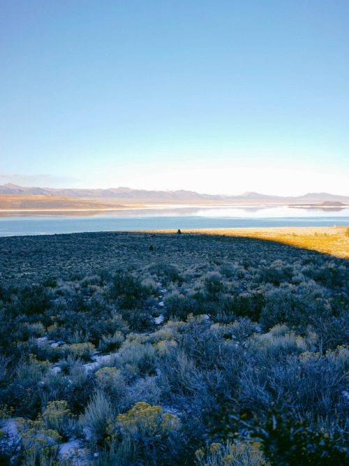 Mono Lake, CA Instagram | Website  