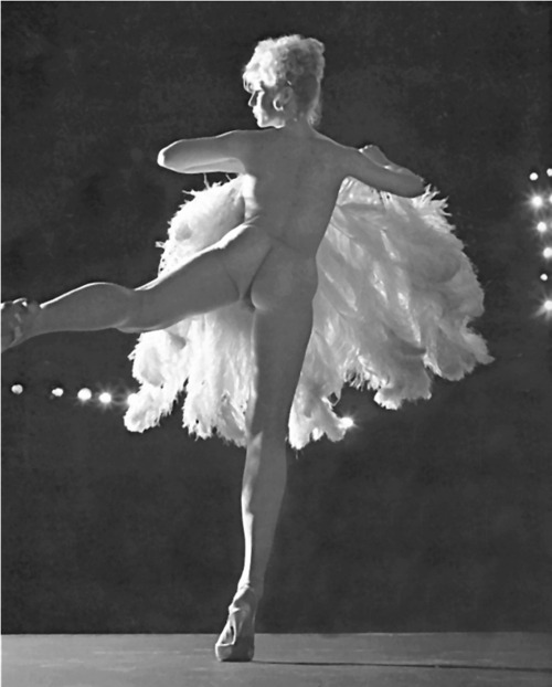 lee meredith