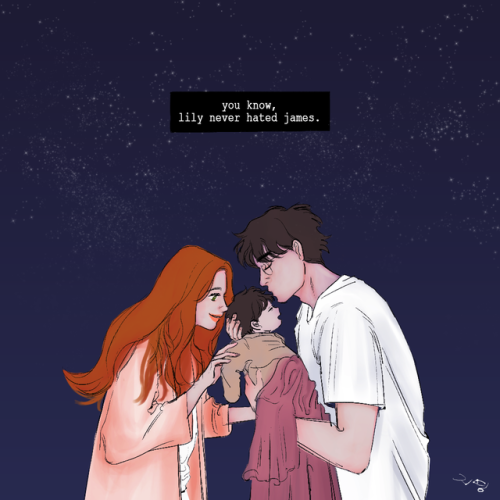 a-sweet-potato12:the night