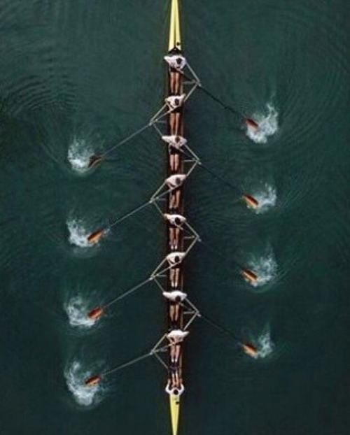millerrowing:Live to accept, improve, create, not to complain.