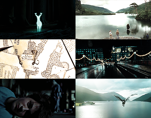 hermxone:  harry potter movies | |  six screencaps each   “It is a curious thing,