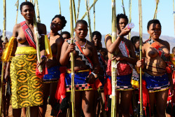   Reed dance in Swaziland, via Emanuele Stano.  