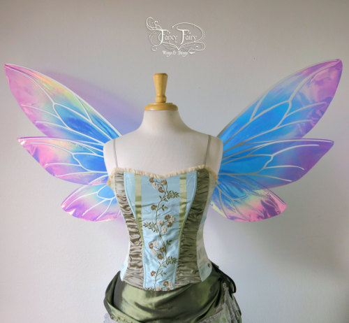 the-cutie-booty:  lovelylittlelittlepet:  bruisedbutterfly:  becomingtiger:  whimsy-cat:  Fairy wings by Fancy Fairy. ( Etsy / Deviantart )  That’s the post I was talking about bruisedbutterfly 🐛💗  I love them!!  daddys-baby-cerberus  want!! 