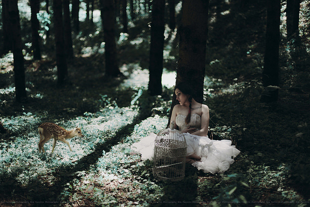 littlewickedthingsx:  The Dream II by Eva ∞ Carollo on Flickr.