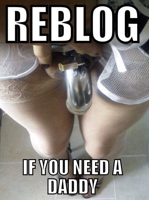 sissy-stable:  Do you need a Daddy ? Re-blog and find your’s today !