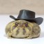 devpatelpeets