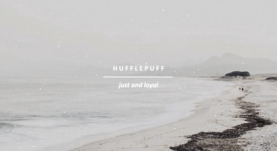 ginnyeweasley:The four  h o u s e s  are called Gryffindor, Hufflepuff, Ravenclaw and Slytherin. Eac