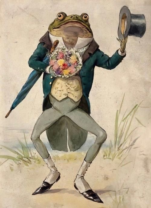  Gentleman Frog by George Hope Tait, 1900 