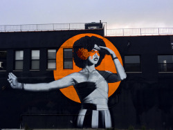 findac:  The Watcher in Bushwick, New York