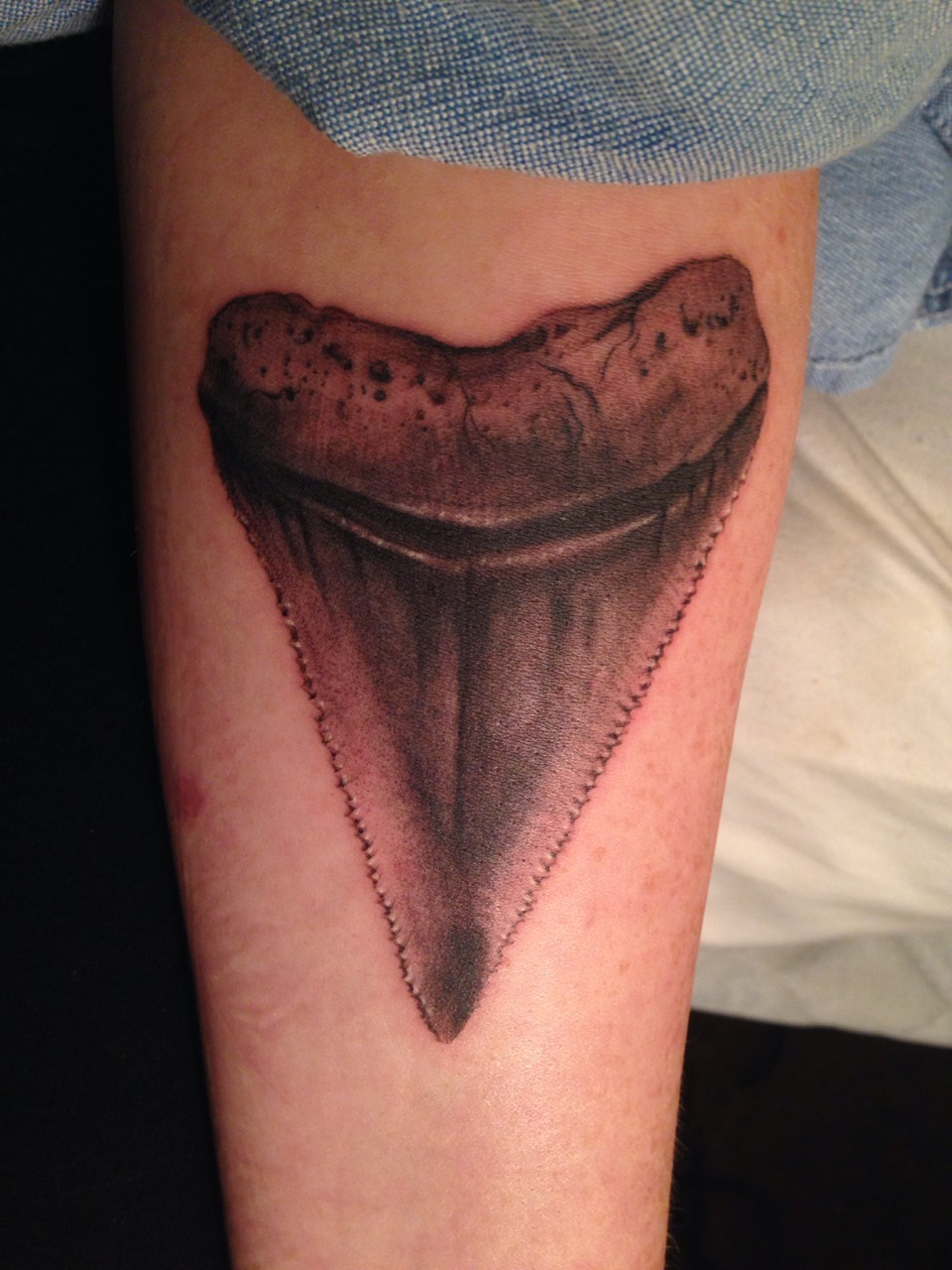 Shark tooth by Brian Thurow at Dedication Tattoo in Denver CO Exactly how  I pictured it  rtattoos