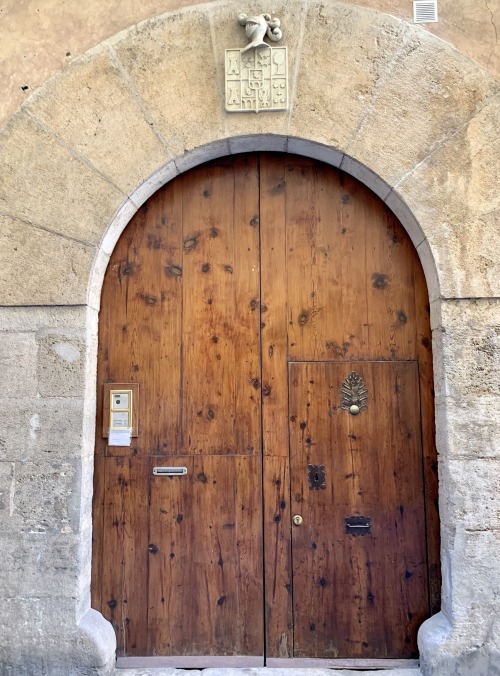 Puerta con escudo arriba y puerta de madera pesada, Valencia, 2019.