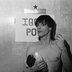 debbieharry1979:  iggy pop, 1977, taken by