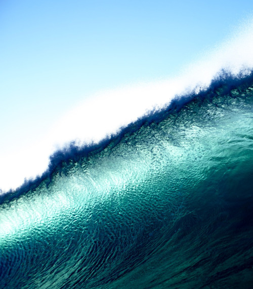 wslofficial:  Monochrome Photo by @morganmaassen