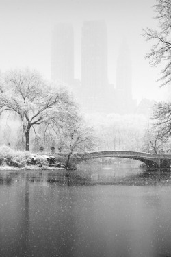 italian-luxury:  Snowy Central Park, NY | Italian-Luxury | Instagram