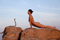 Cobra vs. Upward facing dog © Thomas Dorn and Isabelle Derigo Cobra ;0)