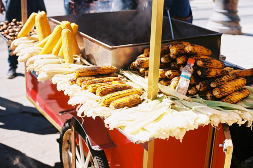 Corn on the cob in the marketplace